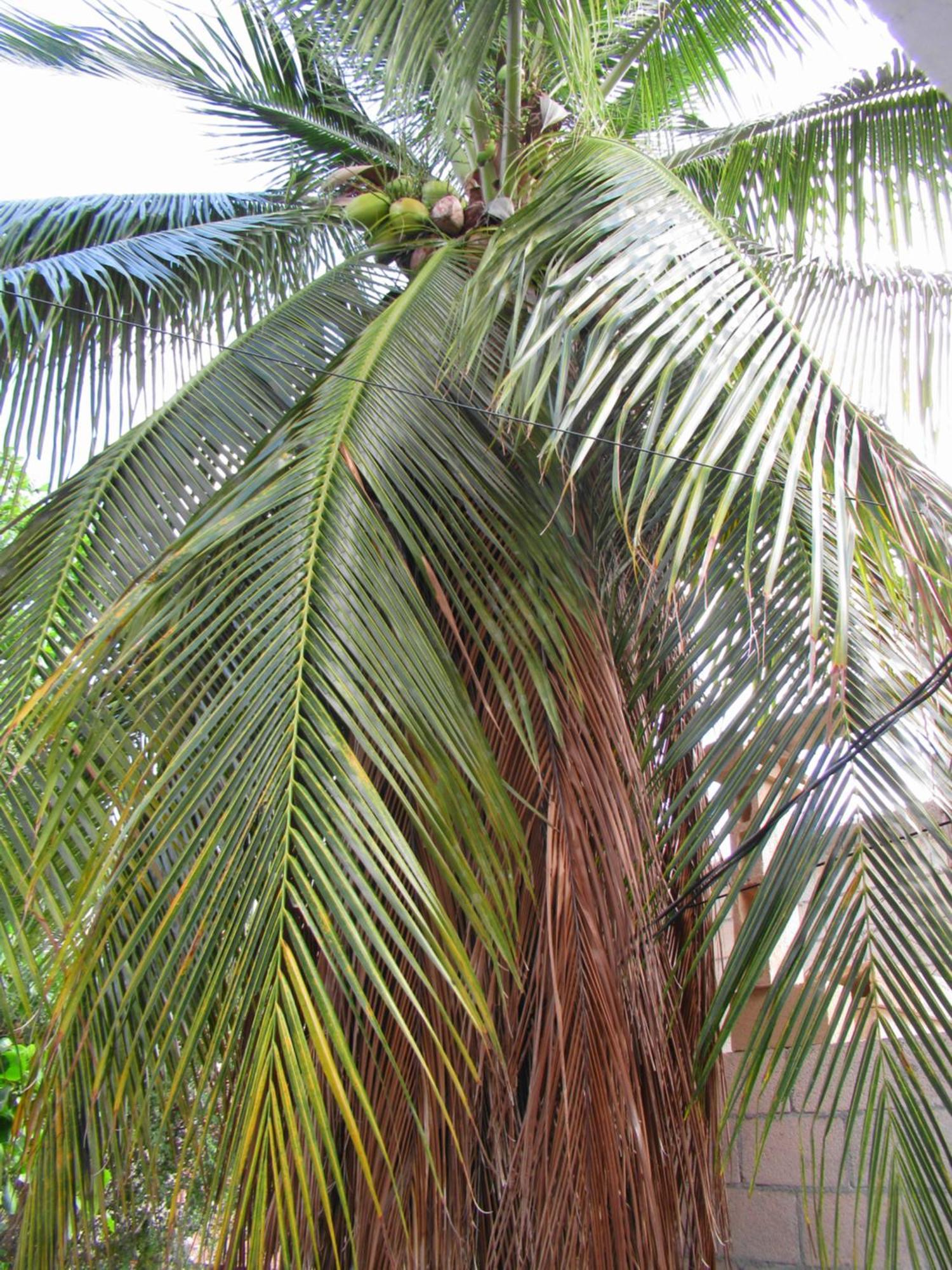 شقة Cocos كانكون المظهر الخارجي الصورة